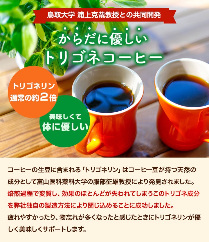 トリゴネコーヒー トリゴネリン コーヒー 30袋入り お試し トリゴネ クロロゲン酸 ドリップコーヒー ティーバッグ 珈琲 澤井珈琲 送料無料 効果 健康