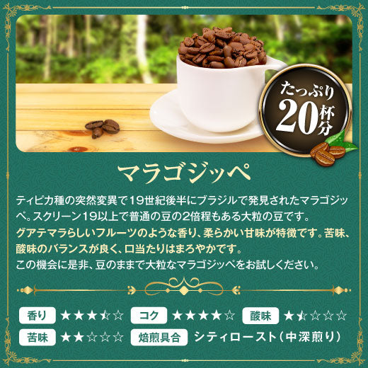 送料無料 コーヒー専門店の最高品質のスペシャリティー第7弾!
