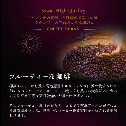 送料無料 焙煎したて コーヒー豆福袋 アフリカンムーン / アフリカムーン 100杯分福袋 1kg