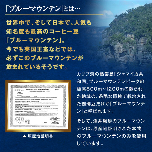 送料無料 高級 珈琲豆 ブルーマウンテンNo.1ギフトセット キャニスター ギフトセット