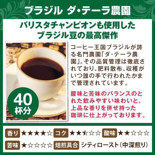 送料無料 王国ブラジル3種 本場飲み比べセット 珈琲120杯分福袋