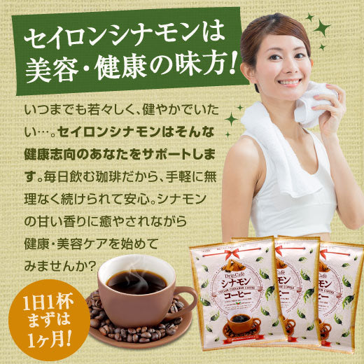 送料無料 ドリップバッグ 珈琲 個包装 8g シナモン コーヒー40杯分 福袋