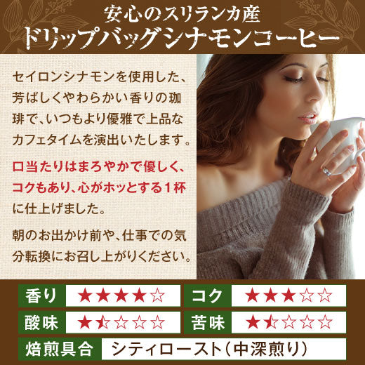 送料無料 ドリップバッグ 珈琲 個包装 8g シナモン コーヒー40杯分 福袋