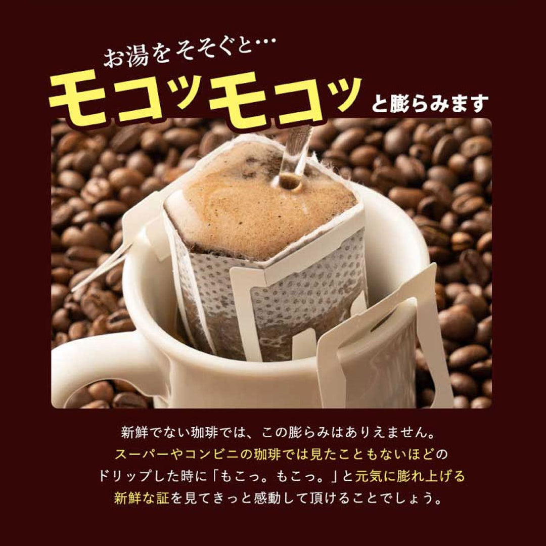 送料無料 鮮度抜群 ドリップバッグ 10袋×2箱ギフト 個包装 8g 飲み比べ セット フォルテシモ ビクトリー