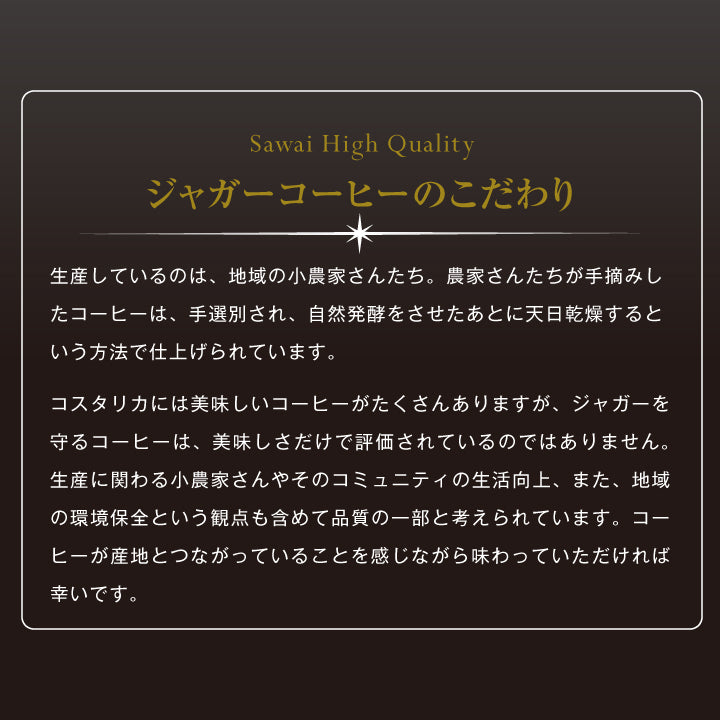 送料無料 コーヒー ドリップコーヒー ジャガー ドリップ ドリップパック 珈琲 個包装 8g 澤井珈琲 ジャガーコーヒー 30杯分入りドリップバッグ 福袋 30袋 セット 濃厚 コスタリカ