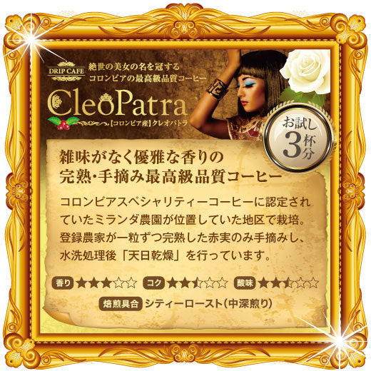 送料無料 華の3種 極上のドリップバッグ テイスティングセット
