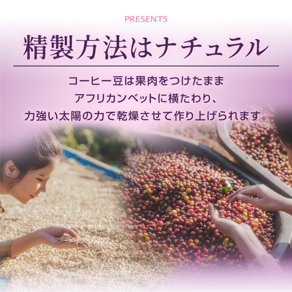 送料無料 コーヒー ドリップコーヒー ドリップ ドリップパック 珈琲 個包装 8g 澤井珈琲 モカ エリーゼプレジデント 30杯分入りドリップバッグ 福袋 30袋 セット