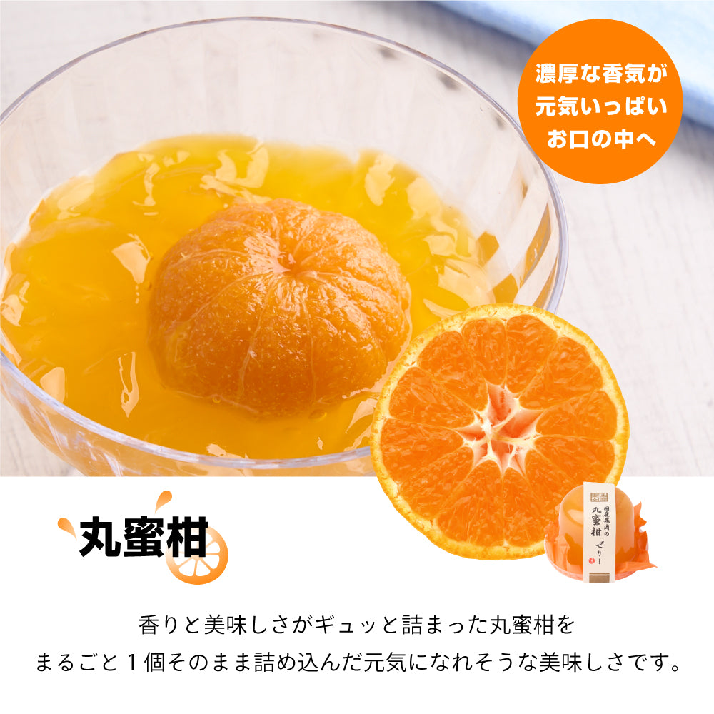 国産果肉ジュレ 単品 ※冷凍便同梱不可 スイーツ お菓子
