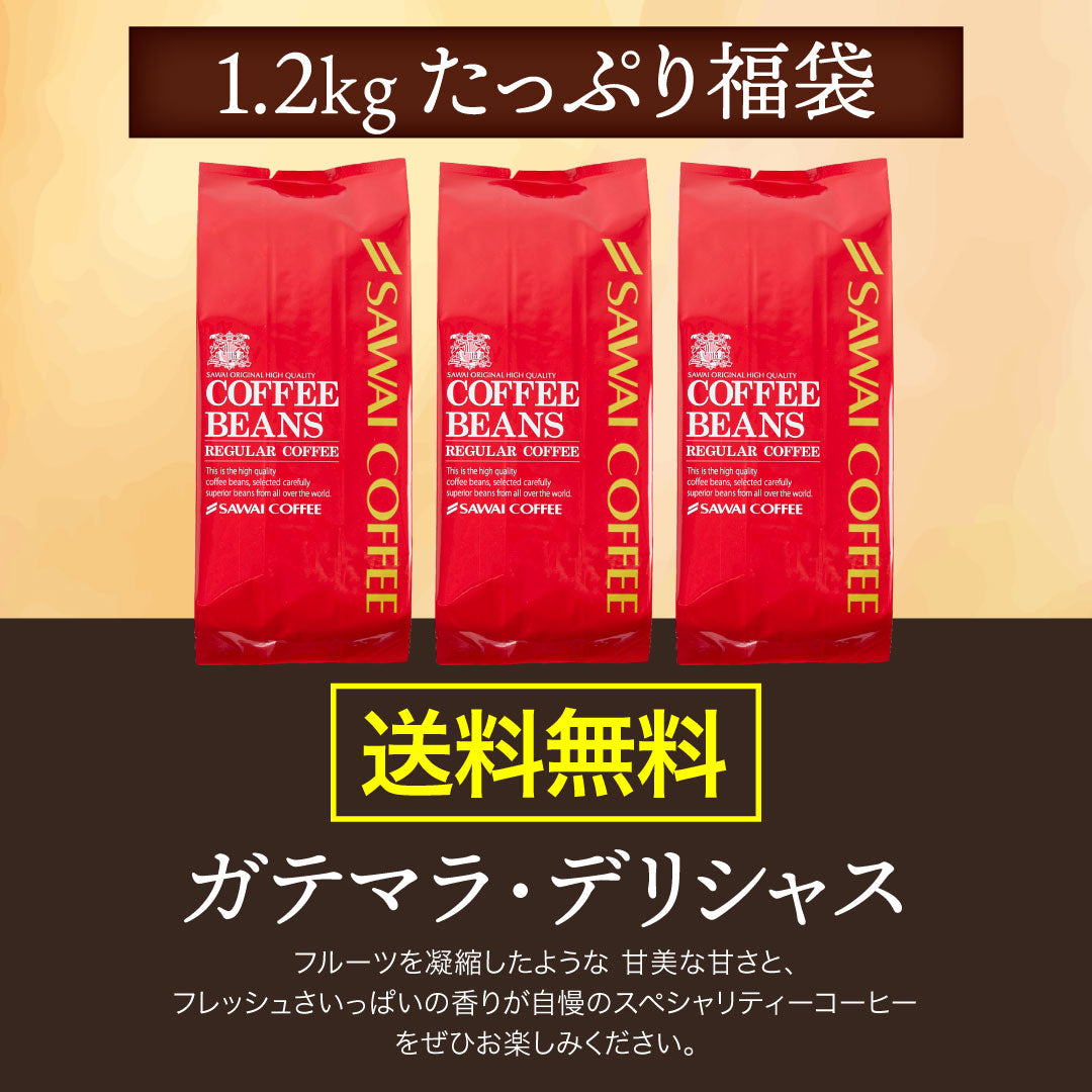送料無料 超大入り120杯分 ガテマラコーヒー福袋 ガテマラデリシャス