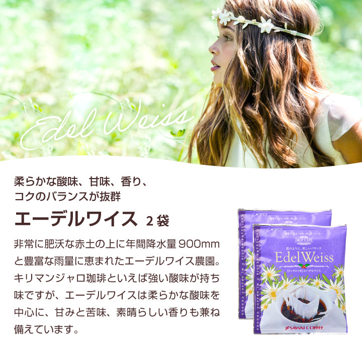 送料無料 ドリップバッグ 個包装 16袋入 ブック型 珈琲物語・華 極上 スペリャリティー ギフトボックス