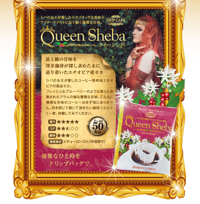 専門店の極上ドリップバッグ クイーンシバ 50袋セット