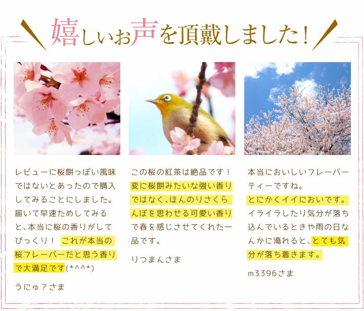 ほんわりと優しい香り漂うさくらの紅茶 リーフティー40g オリジナルキャニスター付(桜の紅茶)