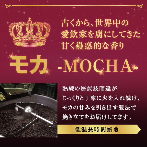 送料無料 焙煎したて コーヒー豆 1kg 福袋 500gx2袋 中挽き/豆のまま 100杯分 飲み比べ セット レギュラーコーヒー リッチ@モカ