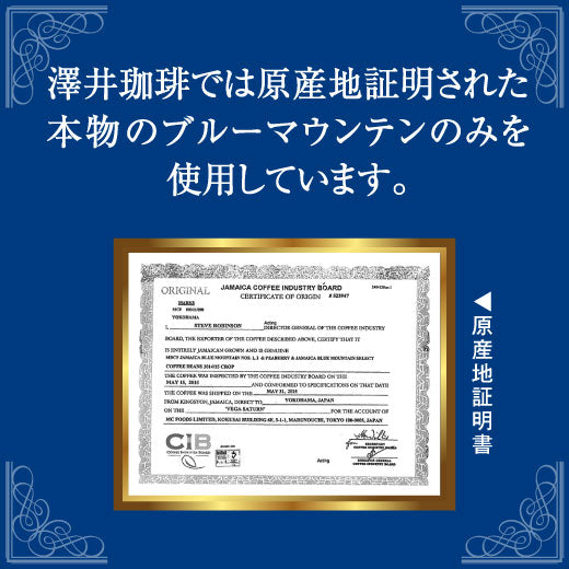 送料無料 コーヒー専門店の水出し珈琲パック ブルマンブレンド 3パック入り×5袋(コーヒーパック/アイスコーヒー/水出しコーヒー/コールドブリュー/ブルーマウンテン)
