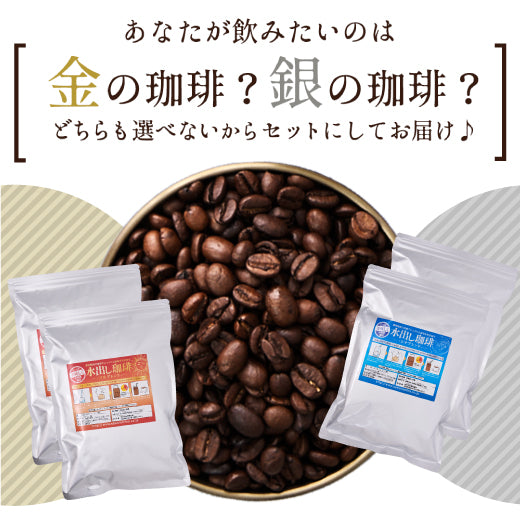 送料無料 金と銀の水出し珈琲パック大入り福袋(アイスコーヒー/水出しコーヒー/コーヒーパック/ソルブレンド/ルナブレンド/コールドブリュー/夏)