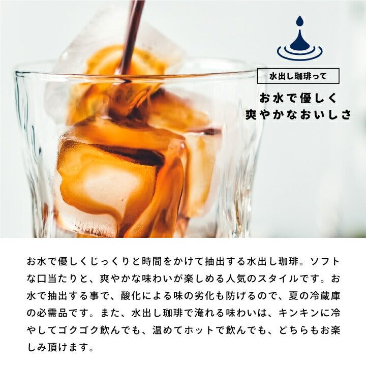 澤井珈琲 水出し コーヒー 10パック 2袋 粉 送料無料 銅の水出しコーヒー福袋 テルスブレンド 60杯分