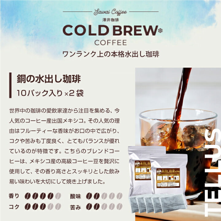 澤井珈琲 水出し コーヒー 10パック 2袋 粉 送料無料 銅の水出しコーヒー福袋 テルスブレンド 60杯分