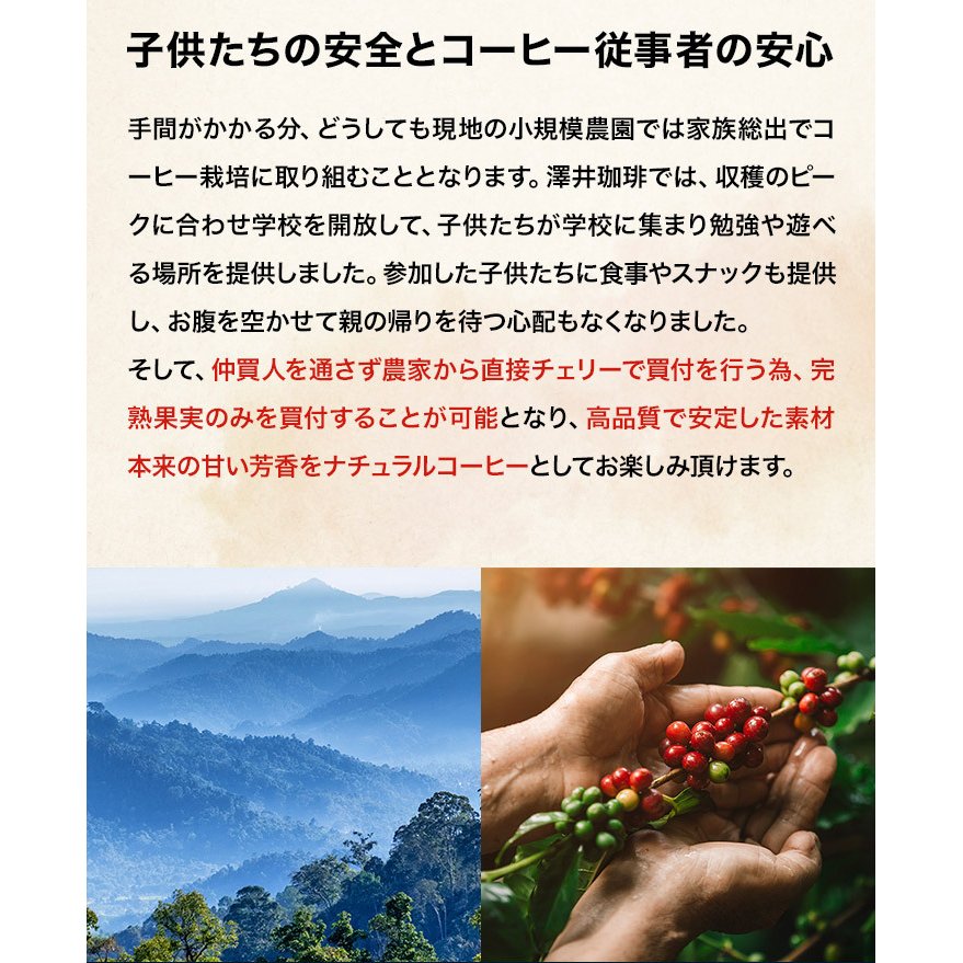 送料無料 サスティナブルなコーヒー グアテマラ グランレイナ レギュラーコーヒー スペシャリティー 1kg 100杯分 ガテマラ グァテマラ