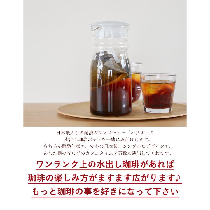送料無料 金と銀の水出し珈琲パックと水出し珈琲ポット福袋 水出しコーヒー 送料無料 アイス コーヒーバッグ コールドブリュー 珈琲 大容量 福袋 10パック×2袋 プレミアム コーヒーパック 金と銀 飲み比べ セット ソル ルナ ハリオ FP-7-TW ポット付き 水だし ※冷凍便同梱不可