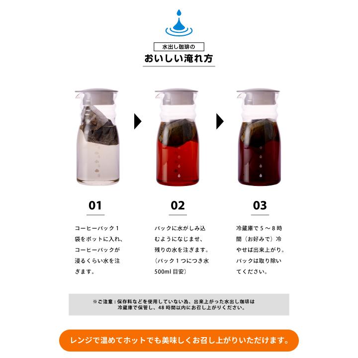 送料無料 金と銀の水出し珈琲パックと水出し珈琲ポット福袋 水出しコーヒー 送料無料 アイス コーヒーバッグ コールドブリュー 珈琲 大容量 福袋 10パック×2袋 プレミアム コーヒーパック 金と銀 飲み比べ セット ソル ルナ ハリオ FP-7-TW ポット付き 水だし ※冷凍便同梱不可
