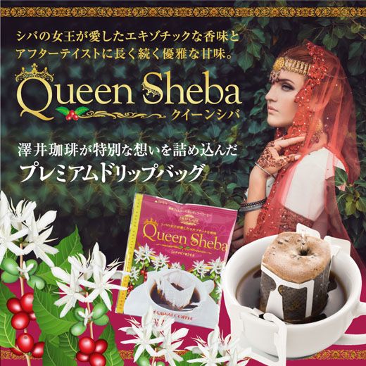 専門店の極上ドリップバッグ クイーンシバ 50袋セット