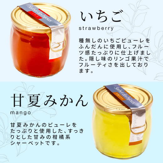 ソルベ・デ・ビジュー 単品(スイーツ/ジェラート) スイーツ お菓子 ※冷凍便同梱不可