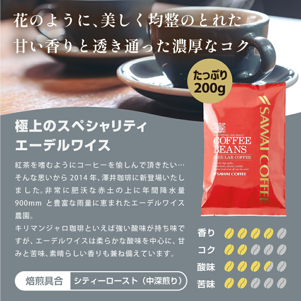 送料無料 コーヒー専門店でしか買えない!! 本当に美味しいスペシャリティー福袋 第5弾!! 世界のスペシャリティーコーヒー 旨味のセット