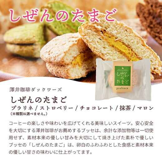 澤井珈琲 焼菓子 スイーツ お菓子 スイーツお試しセット しぜんのたまご ブッセ バームクーヘン マドレーヌ リングフィナンシェ ガトープルポ 5個 プレゼント お返し コーヒーに合う チョコレート プレーン プチギフト バター ケーキ バラエティセット 澤井スイーツ ※冷凍便同梱不可