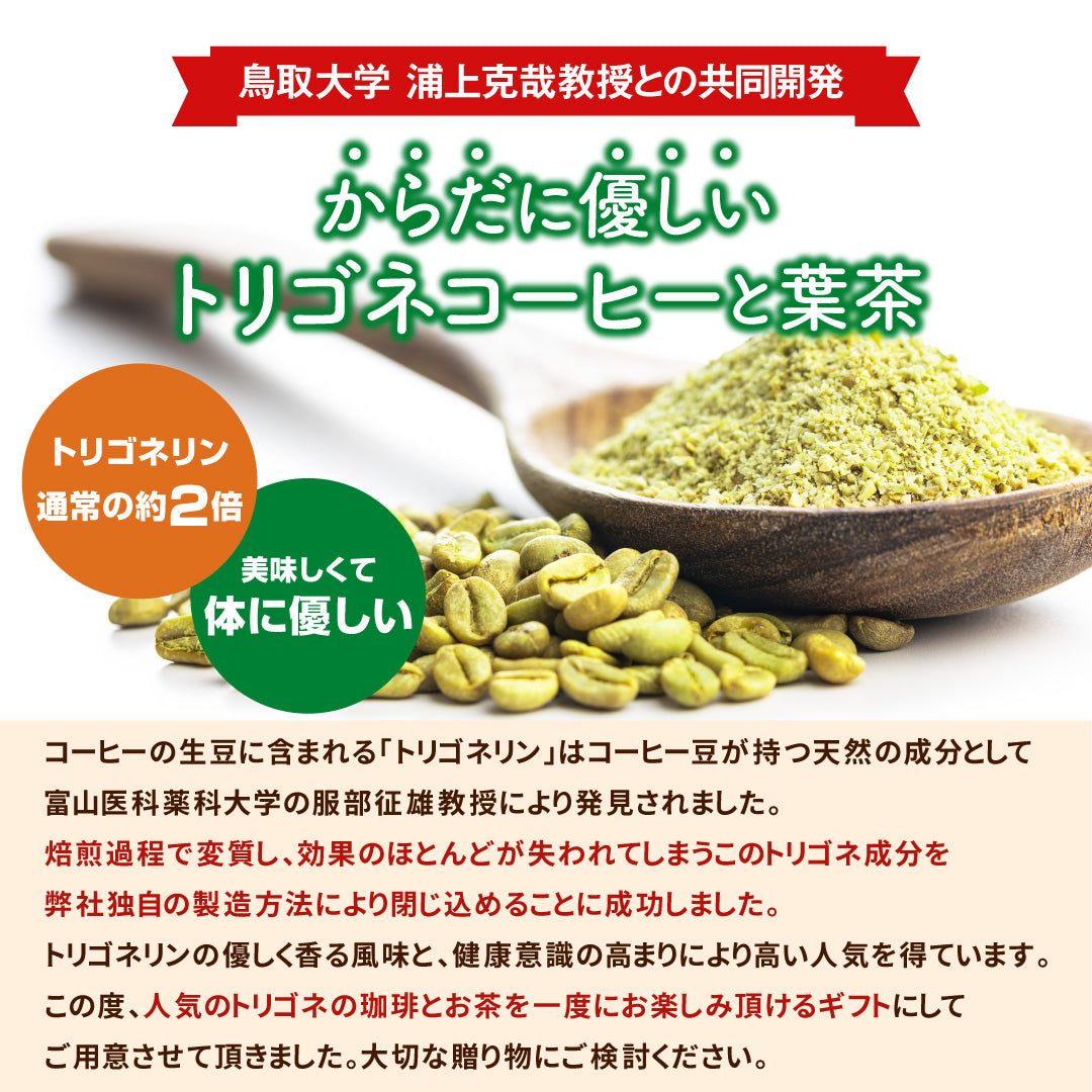 送料無料 トリゴネコーヒー コーヒー茶 tea ギフト コーヒー トリゴネリン トリゴネ クロロゲン酸 コーヒーバッグ ティーバッグ コーヒーセット プレゼント お返し 健康 珈琲 澤井珈琲