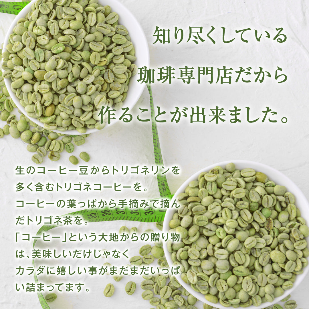 送料無料 トリゴネコーヒー コーヒー茶 tea ギフト コーヒー トリゴネリン トリゴネ クロロゲン酸 コーヒーバッグ ティーバッグ コーヒーセット プレゼント お返し 健康 珈琲 澤井珈琲