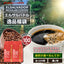 送料無料　選べる焙煎　エルサルバドル逸品コーヒー福袋 コーヒー100杯分