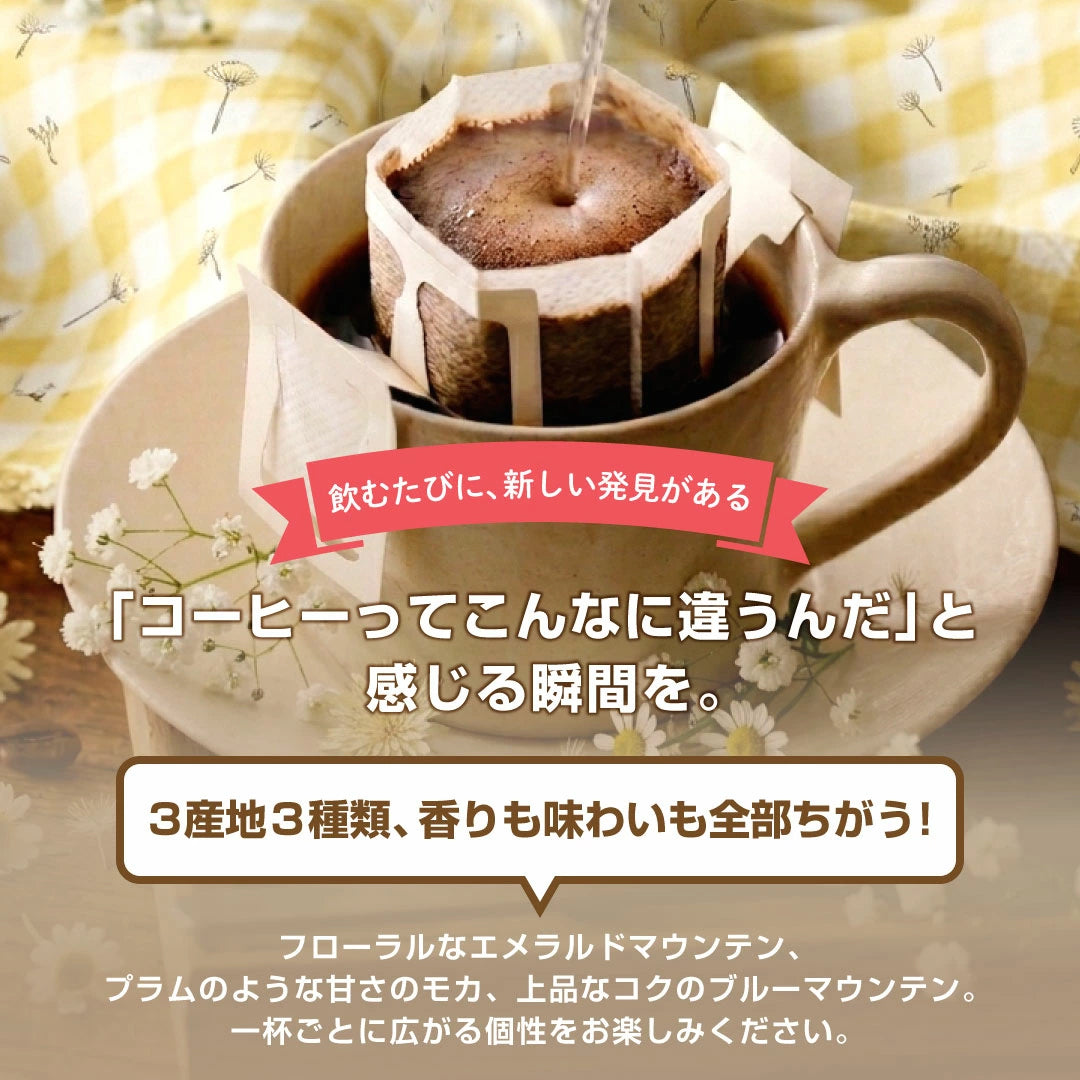 鮮度抜群 ドリップコーヒー 60杯 珈琲 ドリップパック 送料無料 スペシャリティーコーヒー 福袋 ドリップバッグ 福袋 大容量 個包装 8g 飲み比べ セット ブルーマウンテンブレンド ガテマラ エメラルドマウンテンブレンド 澤井珈琲