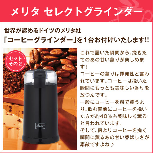 送料無料　コーヒー専門店のコーヒーサーバーと電動ミルの福袋 ※冷凍便不可