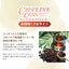 カフェインレス カフェインレスアイスコーヒー1,000ml×12本 送料無料 デカフェ ノンカフェイン カフェイン99％カット コーヒー スペシャリティコーヒー 珈琲 無添加 無着色 ブラック 無糖 リキッド おしゃれ かわいい 高級