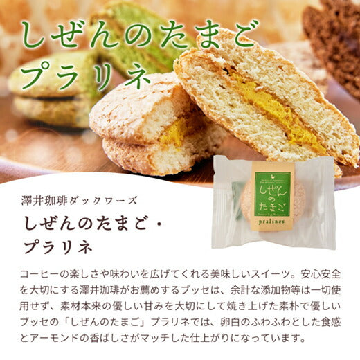 焼菓子 スイーツ スイーツセット お菓子 ふんわりサクサク♪ しぜんのたまご ブッセ 5個 ※冷凍便同梱不可 プチブッセ お試し アソート プレゼント お返し コーヒーに合う プラリネ 抹茶 チョコレート ストロベリー 澤井珈琲 澤井スイーツ